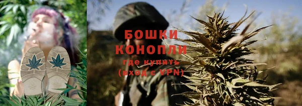 трава Беломорск