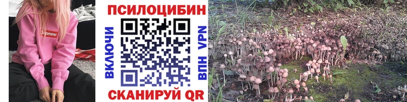 blacksprut вход  Светлогорск  Галлюциногенные грибы прущие грибы 